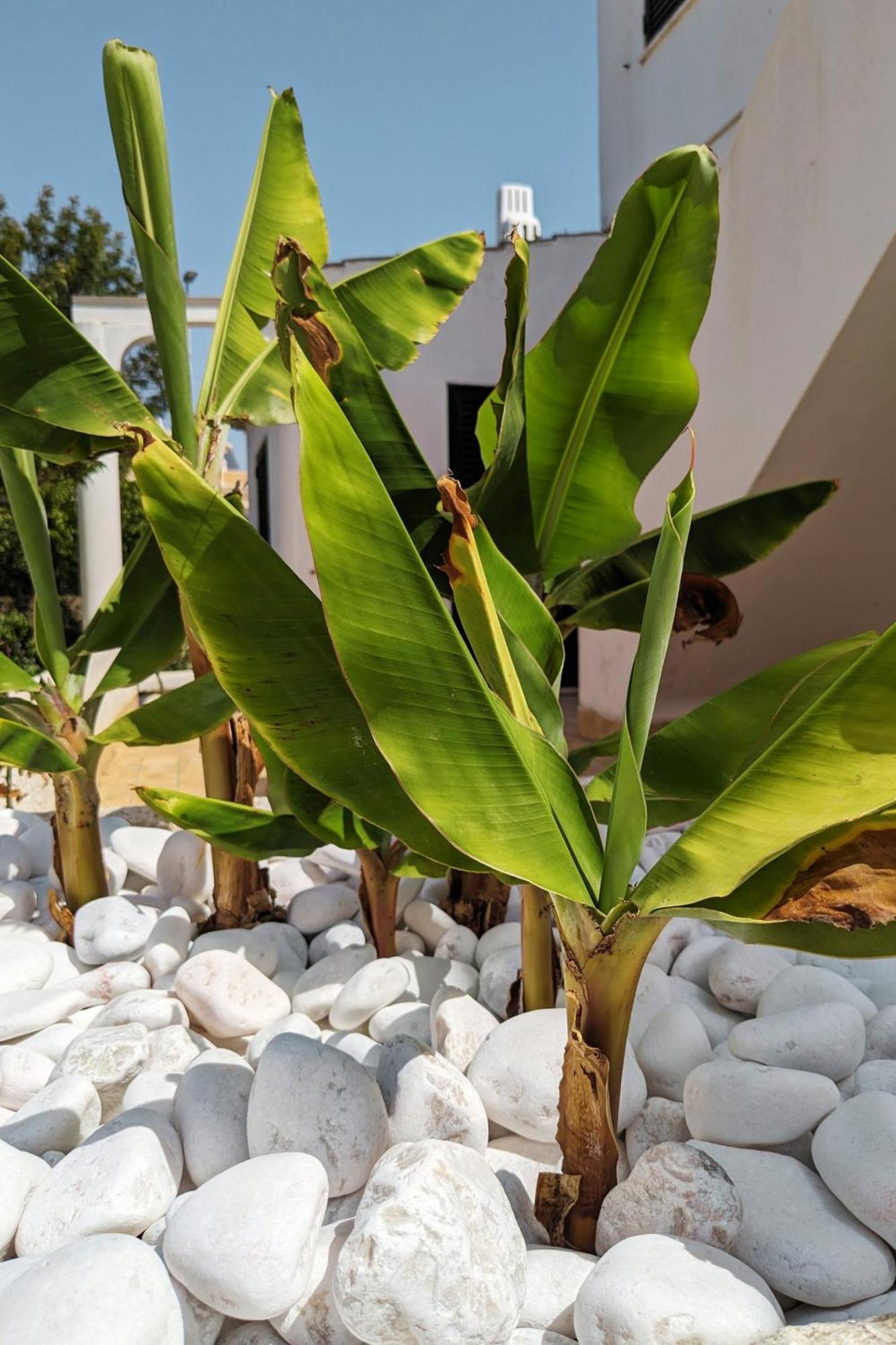 Vivenda Josil T1 With Private Pool Holiday home